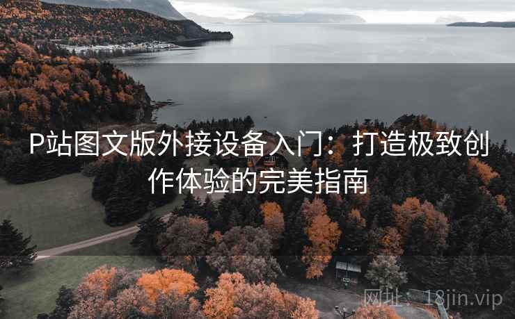 P站图文版外接设备入门：打造极致创作体验的完美指南