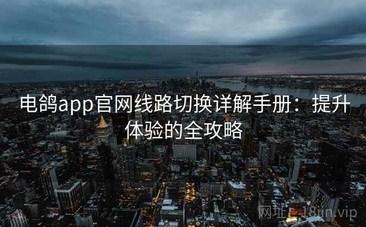 电鸽app官网线路切换详解手册：提升体验的全攻略