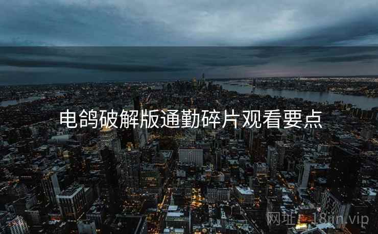 电鸽破解版通勤碎片观看要点