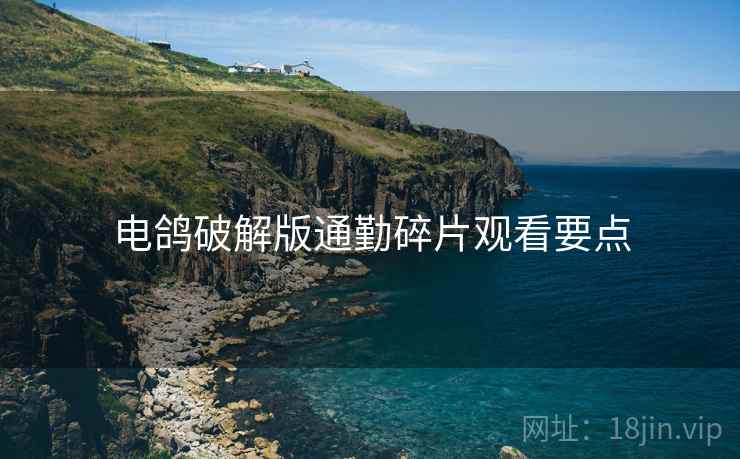 电鸽破解版通勤碎片观看要点