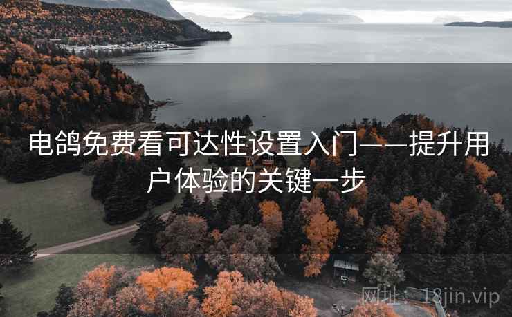 电鸽免费看可达性设置入门——提升用户体验的关键一步