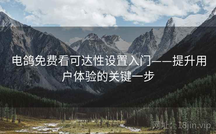 电鸽免费看可达性设置入门——提升用户体验的关键一步