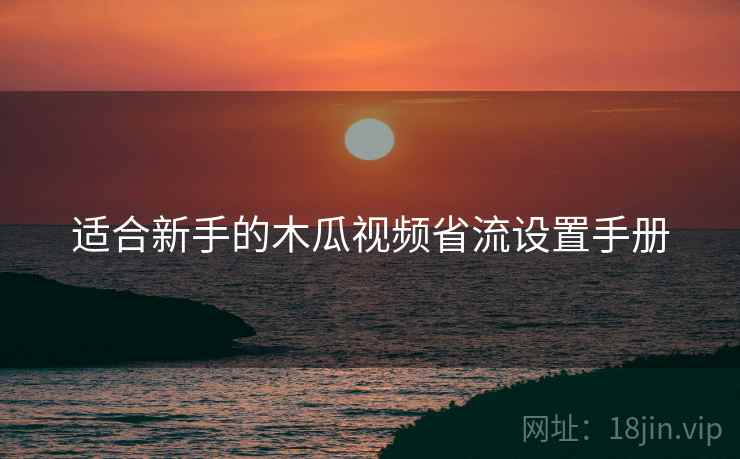 适合新手的木瓜视频省流设置手册