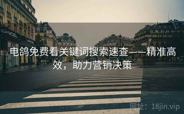 电鸽免费看关键词搜索速查——精准高效，助力营销决策