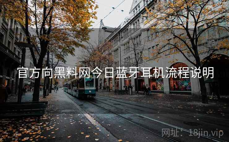 官方向黑料网今日蓝牙耳机流程说明