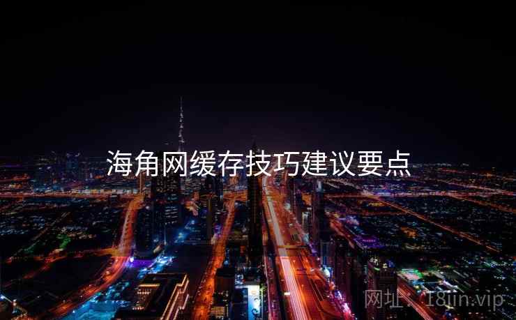 海角网缓存技巧建议要点