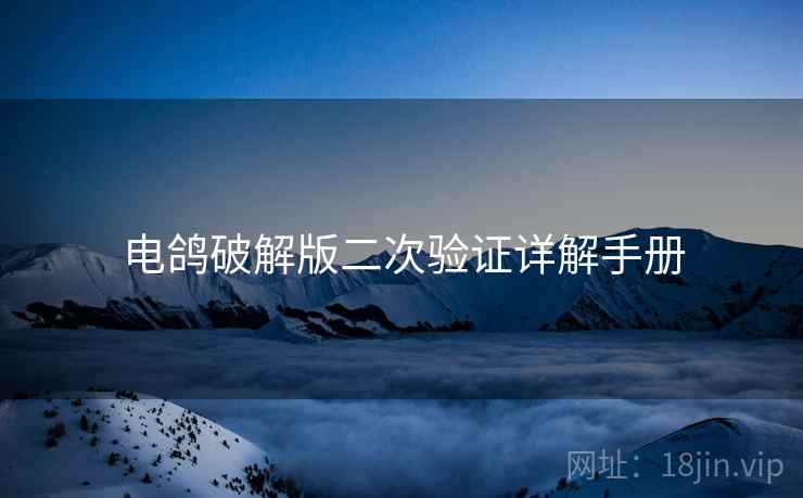 电鸽破解版二次验证详解手册