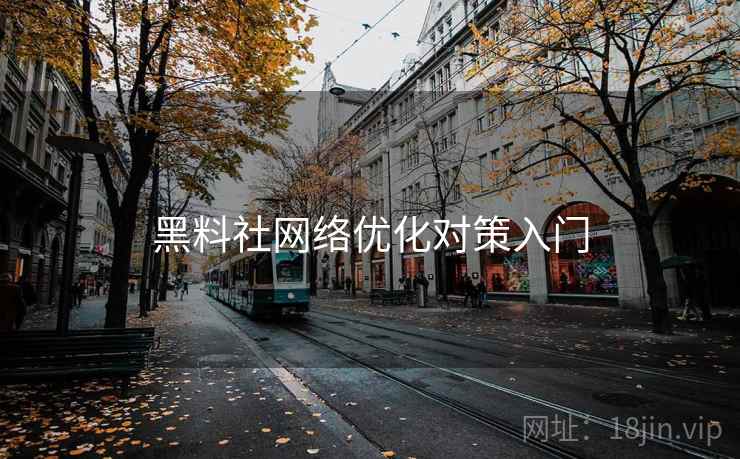 黑料社网络优化对策入门