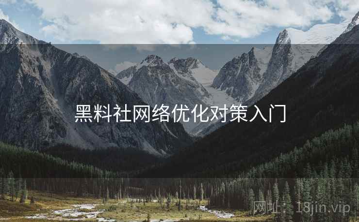 黑料社网络优化对策入门
