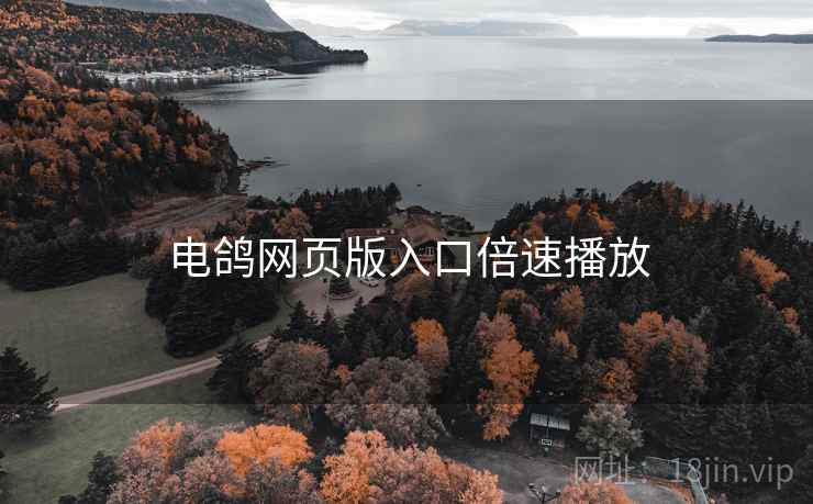 电鸽网页版入口倍速播放
