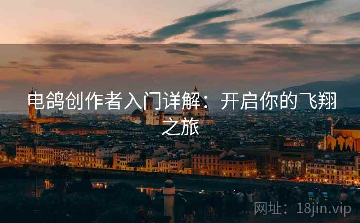 电鸽创作者入门详解：开启你的飞翔之旅