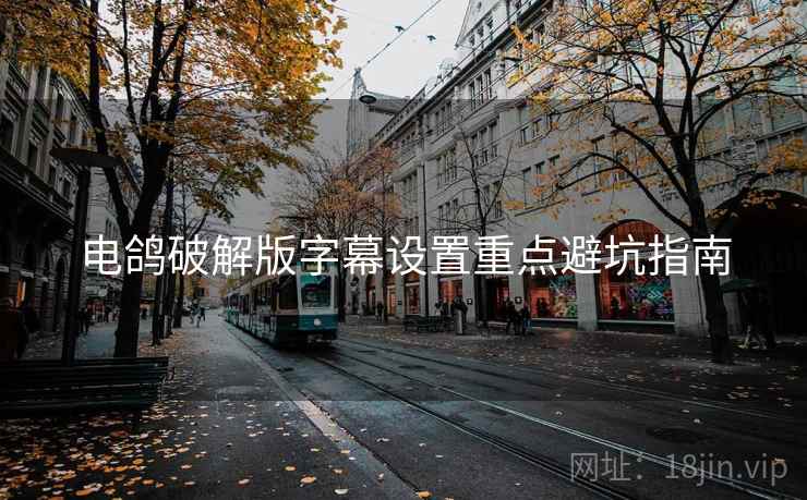 电鸽破解版字幕设置重点避坑指南