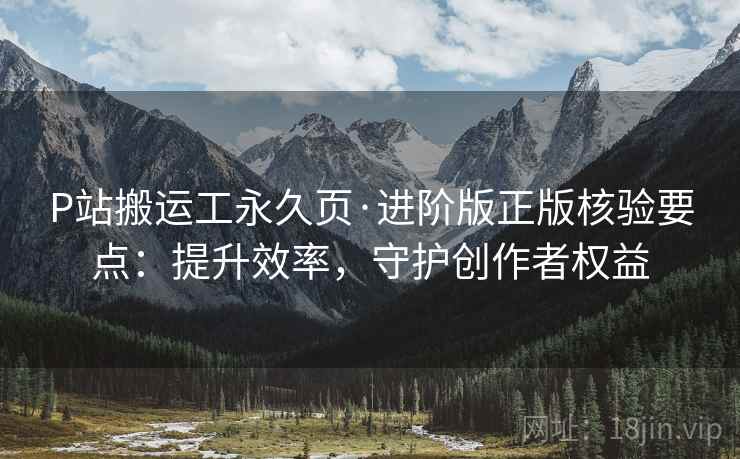 P站搬运工永久页·进阶版正版核验要点：提升效率，守护创作者权益