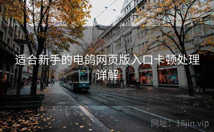 适合新手的电鸽网页版入口卡顿处理详解