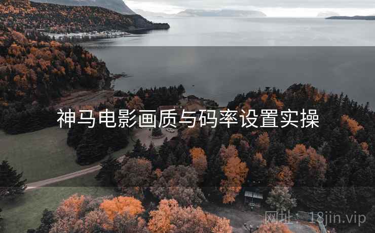 神马电影画质与码率设置实操