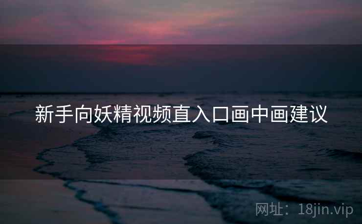 新手向妖精视频直入口画中画建议