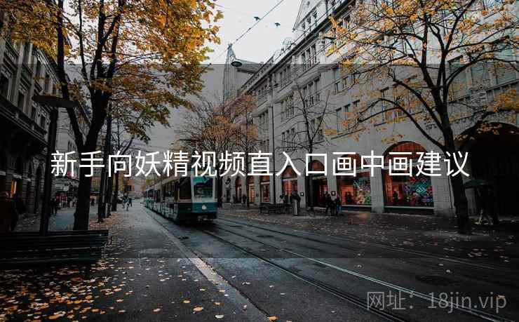 新手向妖精视频直入口画中画建议