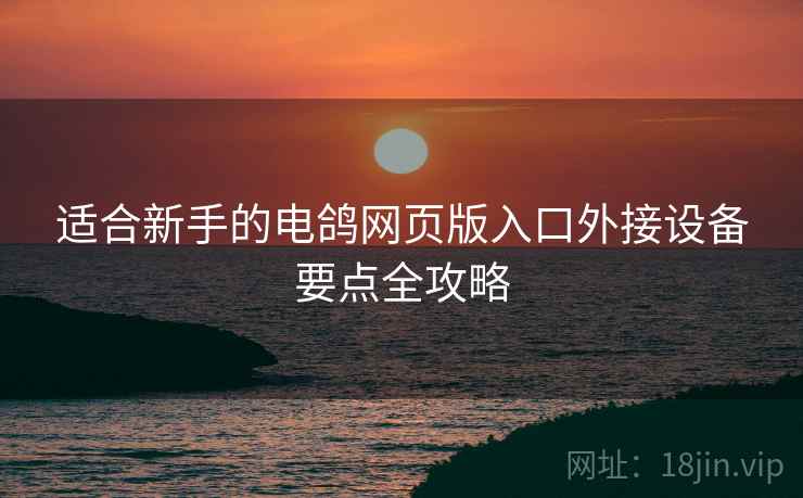 适合新手的电鸽网页版入口外接设备要点全攻略