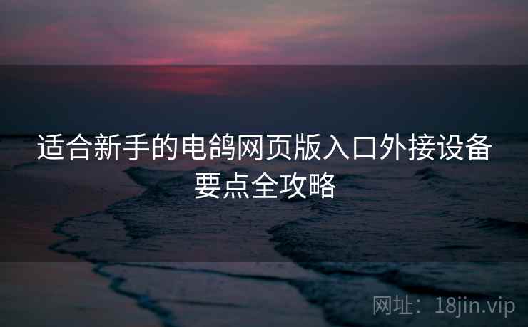 适合新手的电鸽网页版入口外接设备要点全攻略