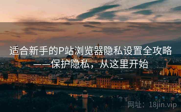 适合新手的P站浏览器隐私设置全攻略——保护隐私，从这里开始