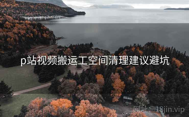 p站视频搬运工空间清理建议避坑