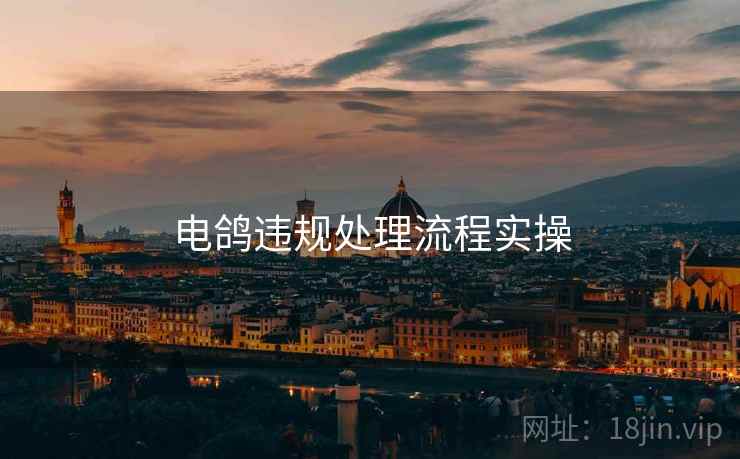 电鸽违规处理流程实操