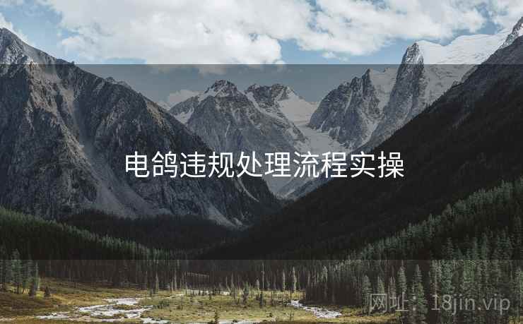 电鸽违规处理流程实操