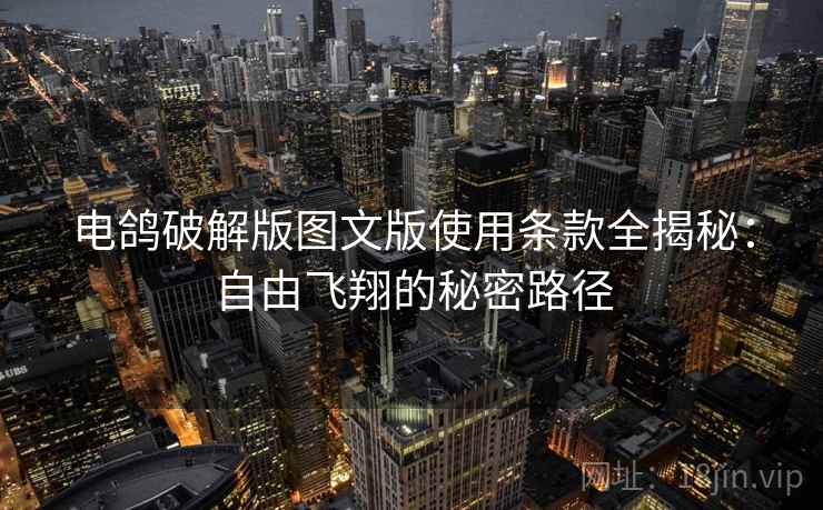 电鸽破解版图文版使用条款全揭秘：自由飞翔的秘密路径